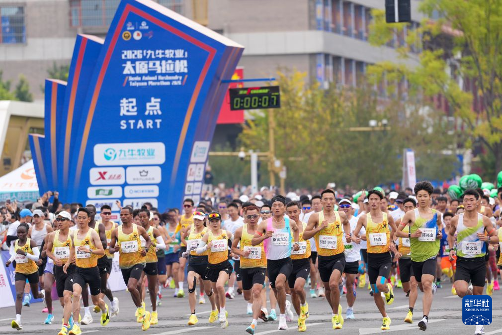 专业是一个人与人的沟通服务