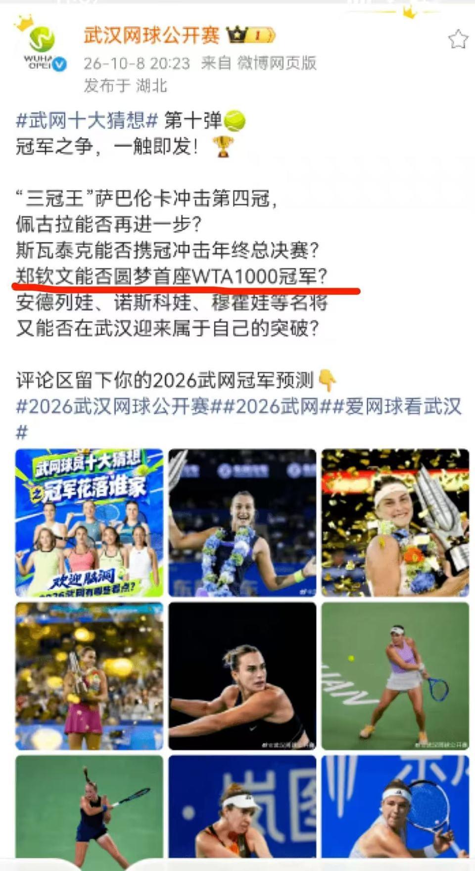 美狮贵宾厅详情图