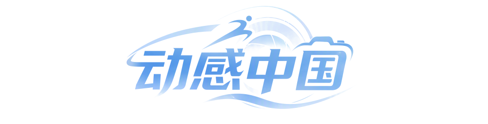 ms美狮贵宾会详情图
